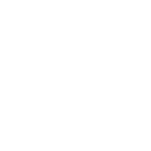Vegan Friendly Logo White